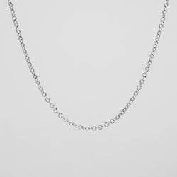 Paris Link Chain | Silver